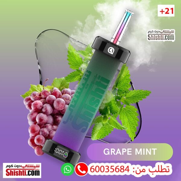 Shishti 30K Grape Mint